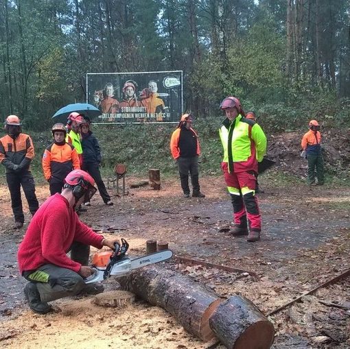 Forestali, aperto il tavolo per il contratto nazionale. Uncem coordinerà il negoziato