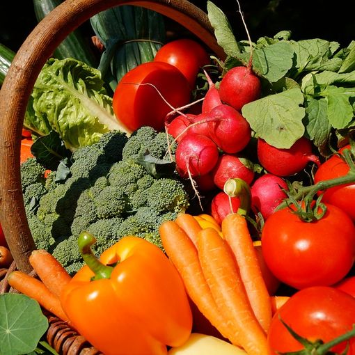 Come diventare un biologo nutrizionista: titoli necessari e esame di abilitazione