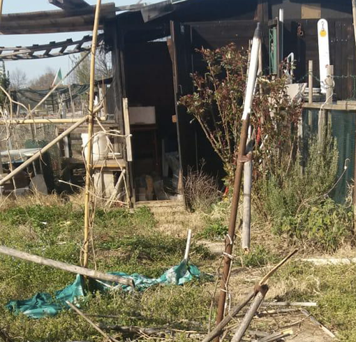Vandalizzati gli orti urbani di Mirafiori Sud