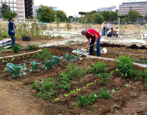 Frutteti a Torino, in Comune una mozione per la &quot;ruralizzazione&quot; della città