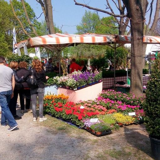 A Carmagnola il trentesimo &quot;Ortoflora &amp; Natura&quot;