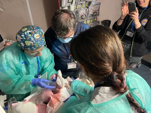 ospedale da campo del piemonte in turchia