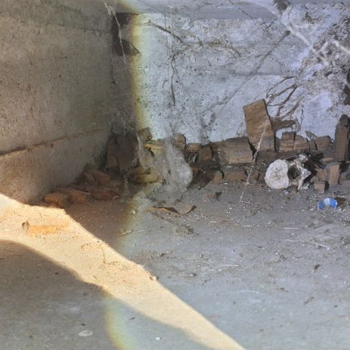 Orrore al cimitero Monumentale: &quot;Ossa in vista e loculi scoperti&quot;