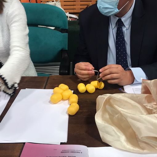 Elezioni, sorpresa a Torino: trionfa il vintage, le liste estratte con gli “ovetti kinder”