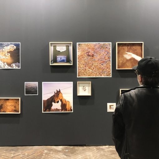 Liquida Photofestival, la kermesse della fotografia emergente torna alla Cavallerizza