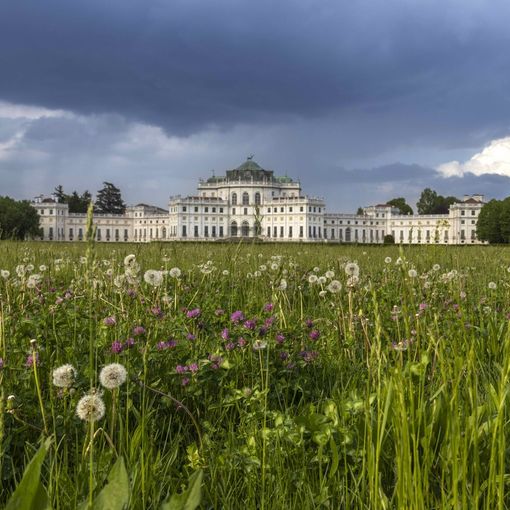 A Stupinigi una mostra racconta l'emergenza della donazione di sangue