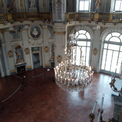 palazzina di stupinigi e ferdinando di savoia