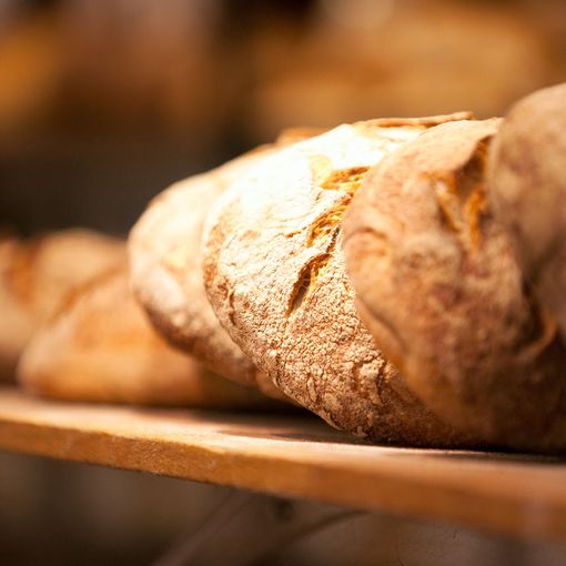 “Coldiretti: pronti a fornire il grano per un pane davvero 100% Made in Piemonte”