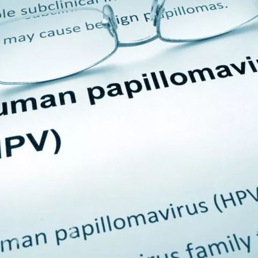In biblioteca a Pianezza si parlerà di Papilloma Virus: appuntamento mercoledì 30 ottobre alle ore 17:30