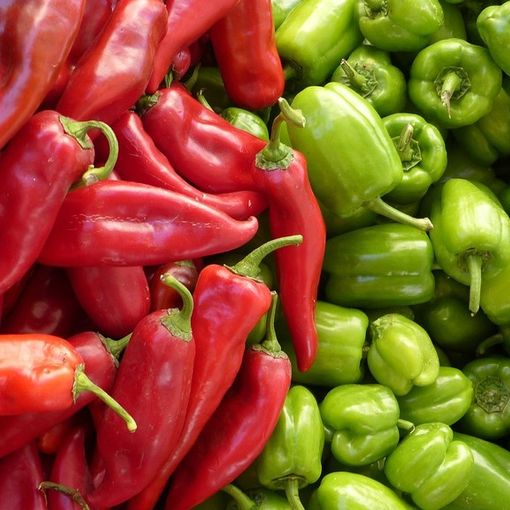 Venaria Reale, prima edizione de “Il campo in pizza-Il mercato sostenibile”