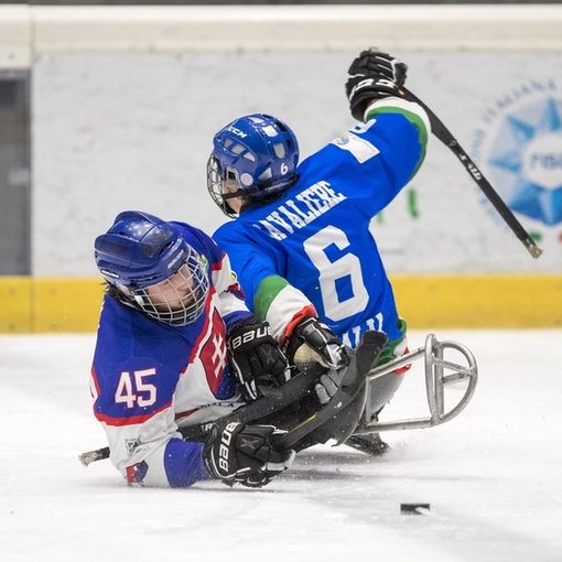 para ice hockey