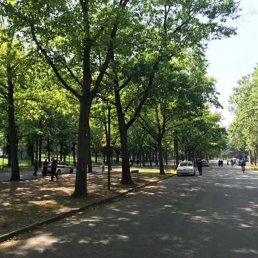 Fase 2: a Torino nuove corsie per pedoni e bici, tornano aree gioco e fitness nei parchi