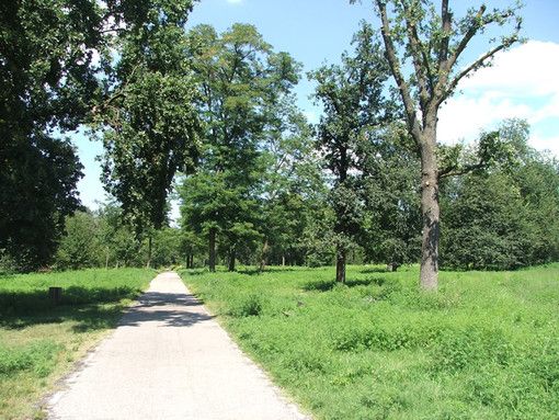 A Nichelino il parco del Boschetto a disposizione di enti e associazioni sportive