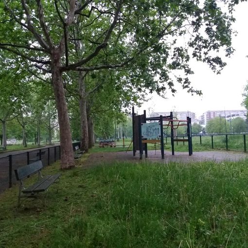 Nuovi lavori di messa in sicurezza delle aree verdi, da Mirafiori Sud al Parco Dora