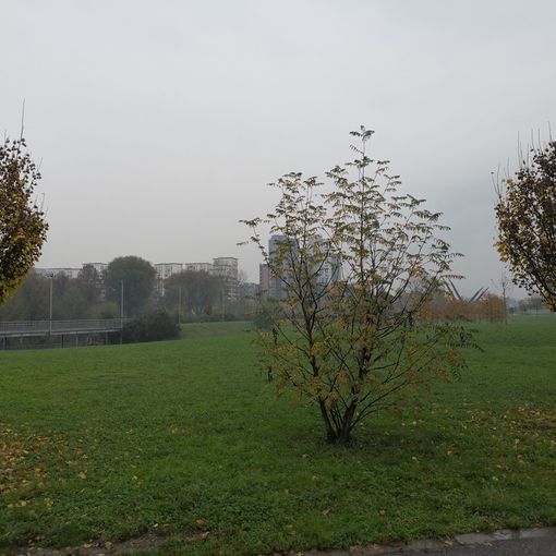 Al via domani indagini per trovare buche nascoste al Parco Dora: ingresso pedonale vietato nell'area ex Ingest