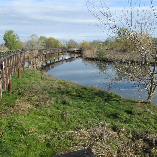 parco vallette