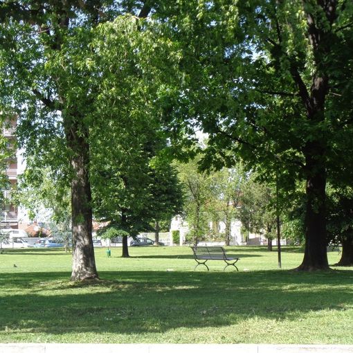 parco pineta grugliasco