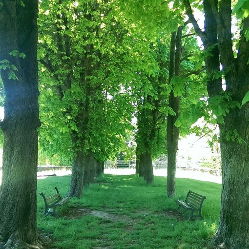 parco Robinson