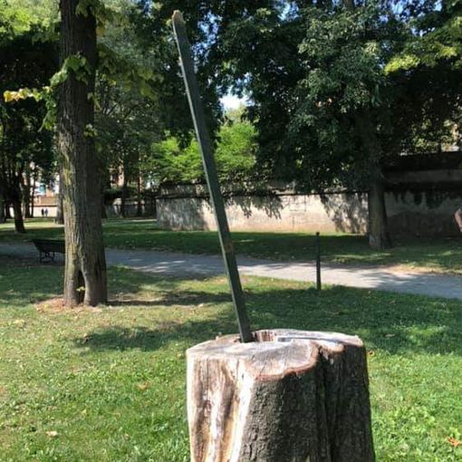 Parco della Tesoriera, dal degrado nasce una &quot;scultura&quot;