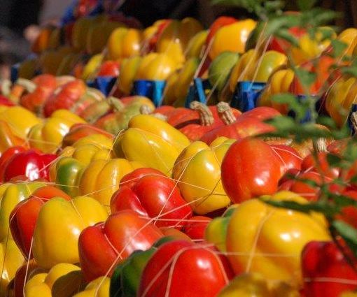 Bollicine e Peperoni: il 13 e 14 settembre a Carmagnola la due giorni dedicata allo shopping eno-gastronomico