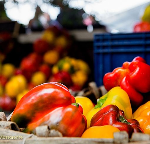 Fiera del Peperone 2023: incontro su come costruire reti e sinergie