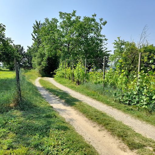 percorso cicloturistico