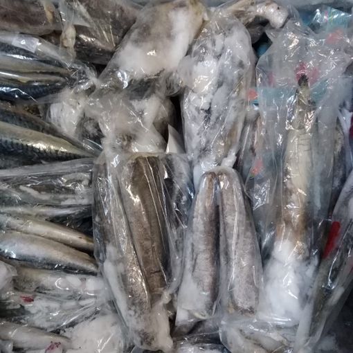 Controlli dei vigili urbani nei negozi di alimentari di corso Giulio Cesare