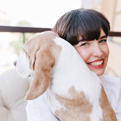 Pet Therapy, primo confronto tra le Regione e le associazioni
