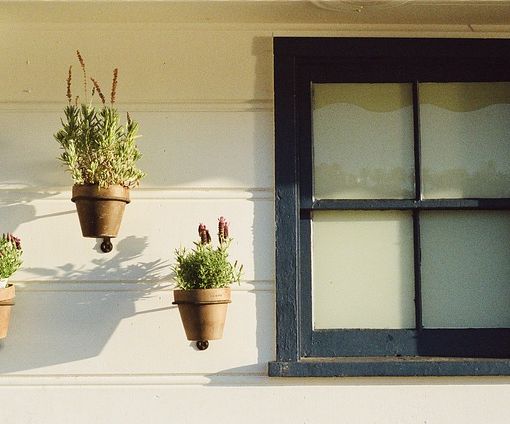&quot;Coltivare aria buona&quot; alla Casa dell'Ambiente