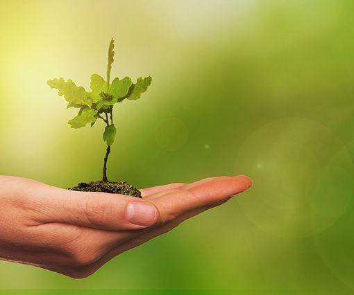 Ambiente: con la ripartenza rigenerare aree interne può valere 2 miliardi
