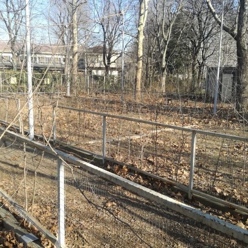 Piazza d'Armi tra degrado e aree da sistemare: la situazione