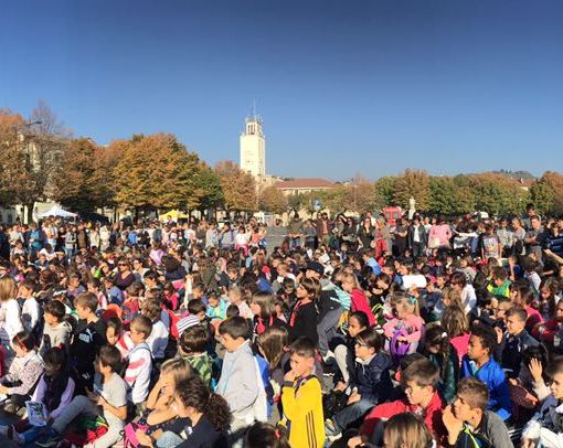 Viva 2017, un successo senza precedenti
