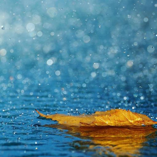 Qualche pioggerellina nel weekend, poi torna il bel tempo con qualche nebbia mattutina