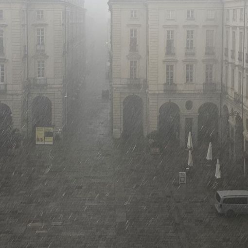 Maltempo: crolla un albero in centro città, allagamenti nei Pronto Soccorso di Molinette e Mauriziano