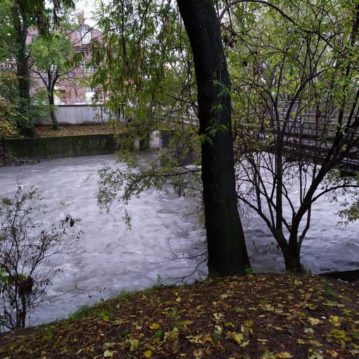 Maltempo in Piemonte, la situazione aggiornata alle ore 10