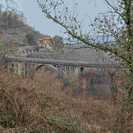 Immagine di repertorio del Ponte Preti