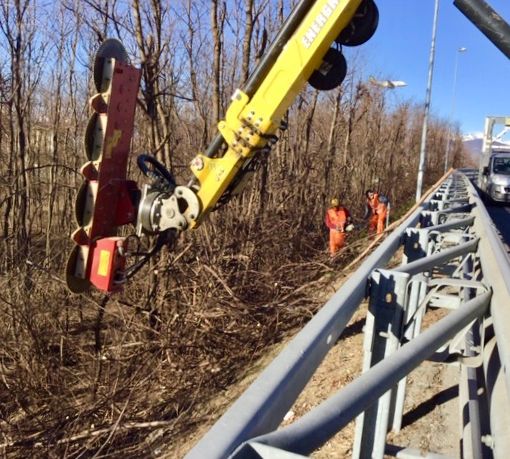 Piemonte, Anas: avviata la potatura delle alberature lungo il raccordo Torino-Caselle