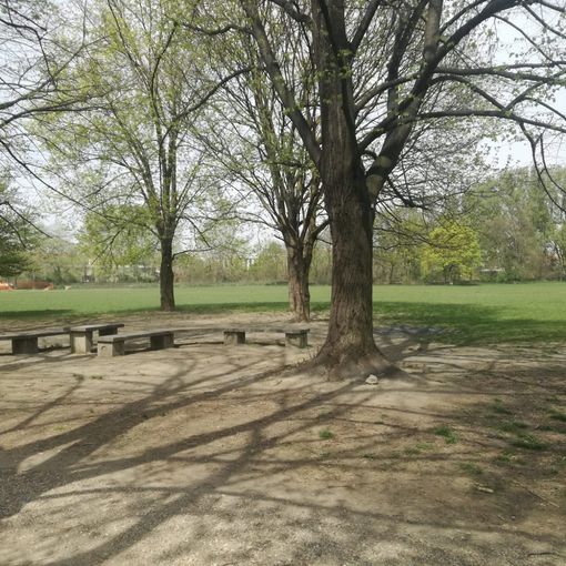 giardini e parchi di Torino