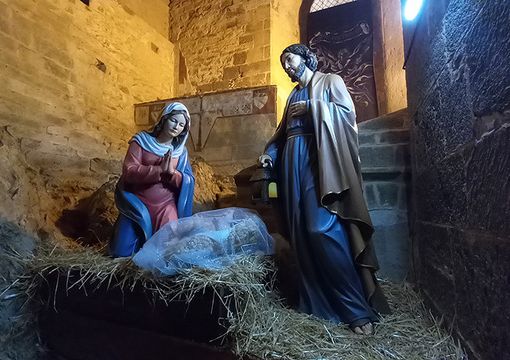 Le immagini dovranno pervenire entro e non oltre il 20 dicembre
