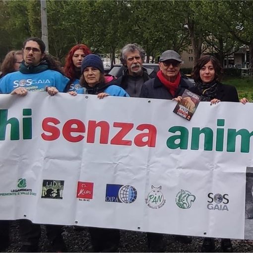 &quot;Stop agli animali nei circhi&quot;: animalisti ed ambientalisti in presidio contro Orfei