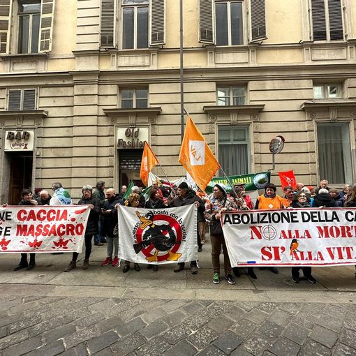 protesta ambientalisti
