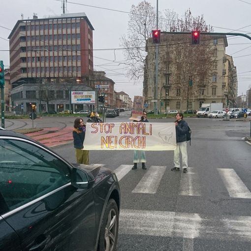 protesta in strada