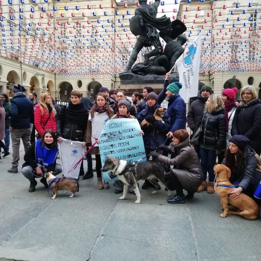 Canile Enpa di via Germagnano, la protesta arriva sotto il Comune di Torino: &quot;Rivogliamo i militari&quot;