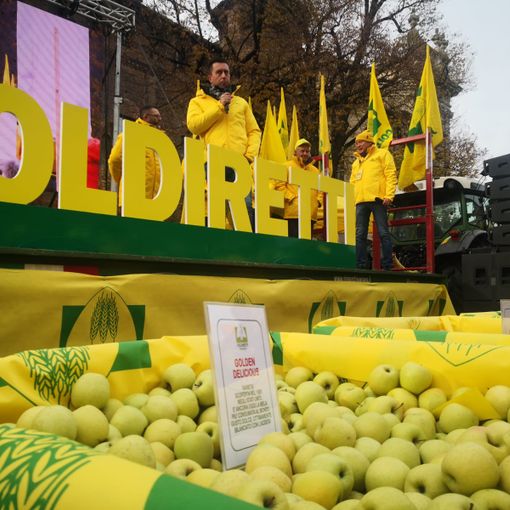 protesta di piazza