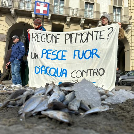 Pesci buttati a terra davanti al palazzo della Regione