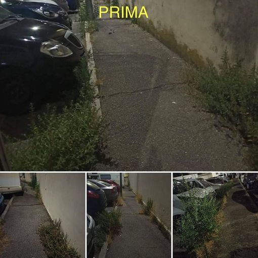 interventi ppu nichelino