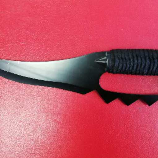 Arrestati durante un controllo due dominicani ricercati per un tentato omicidio a Mantova