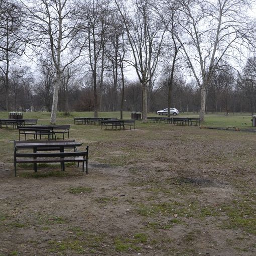 parco del boschetto - immagine di repertorio