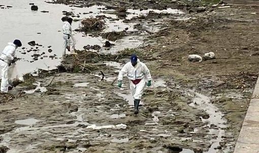 &quot;Trashchallenge – Operazione Po”, sabato un'iniziativa di ripulitura speciale delle sponde del fiume