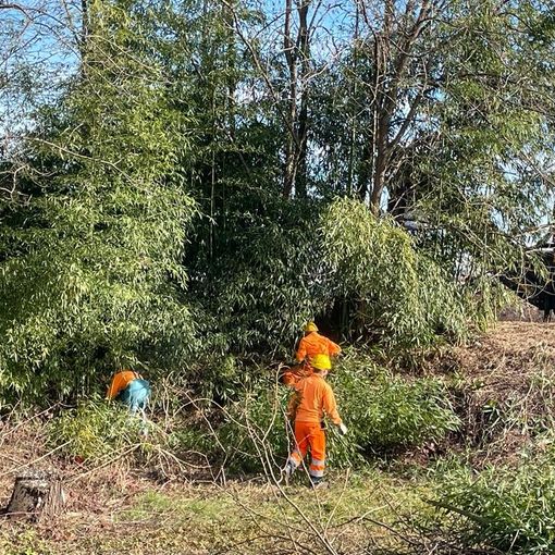 lavori di pulizia al Villaretto